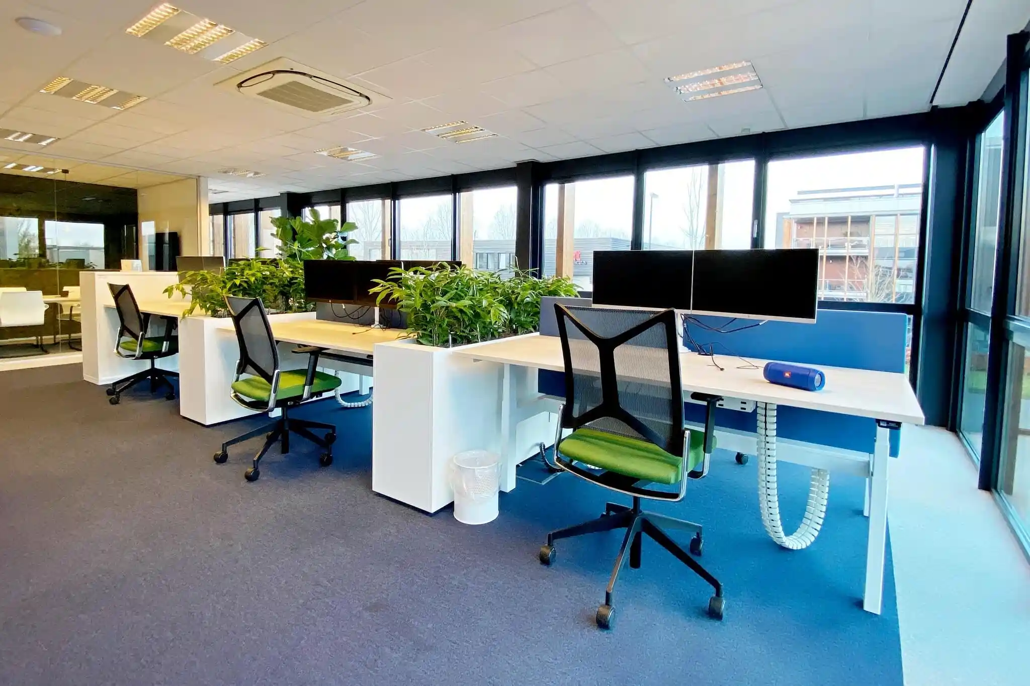 Planten op kantoor voor een goede akoestiek