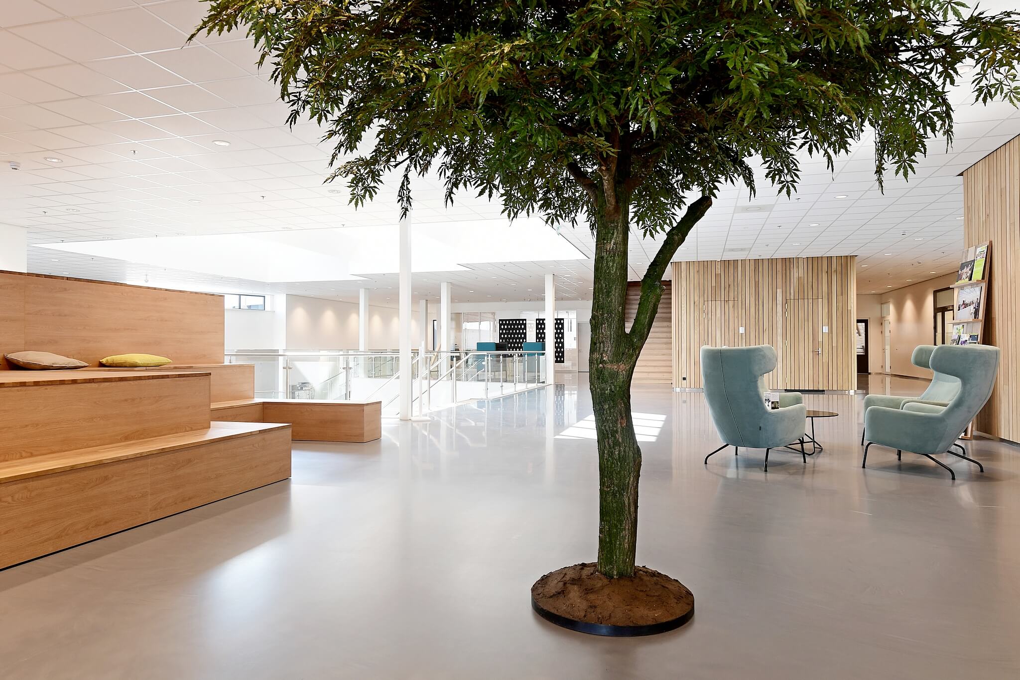 Natuurlijk licht voor het inrichten van je kantoor