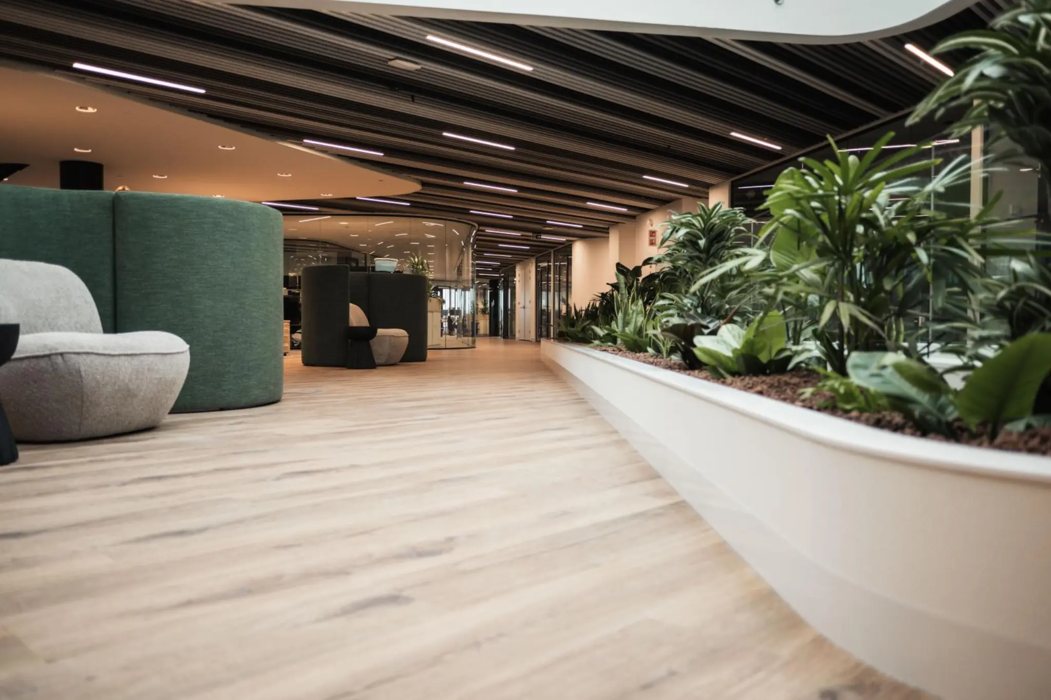 Biophilic design