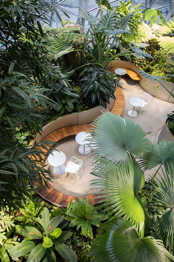 Biophilic design: natuur op kantoor als kracht - Perla Kantoorinrichting